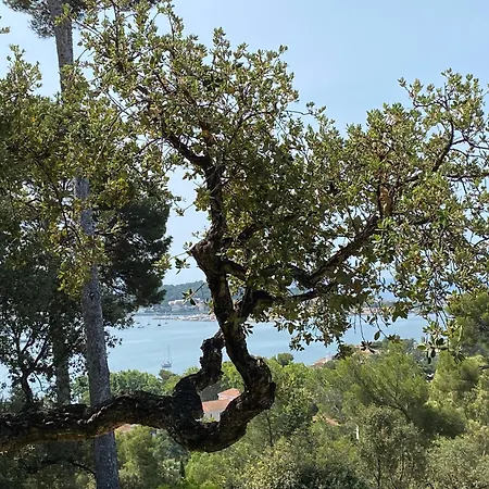 아파트 Tamaris 라센느쉬르메르